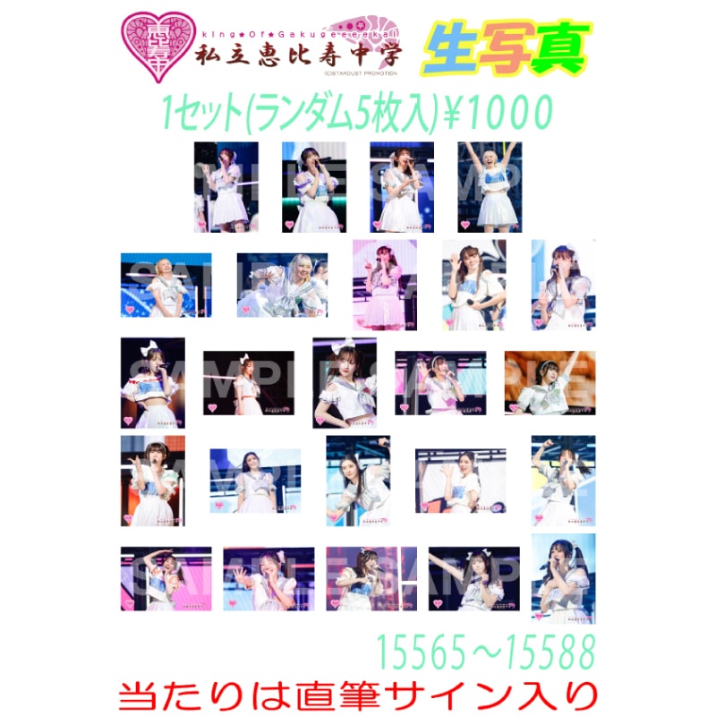 生写真 Spring Tour 2026 新潟公演 販売分 (No.15565~No.15588)