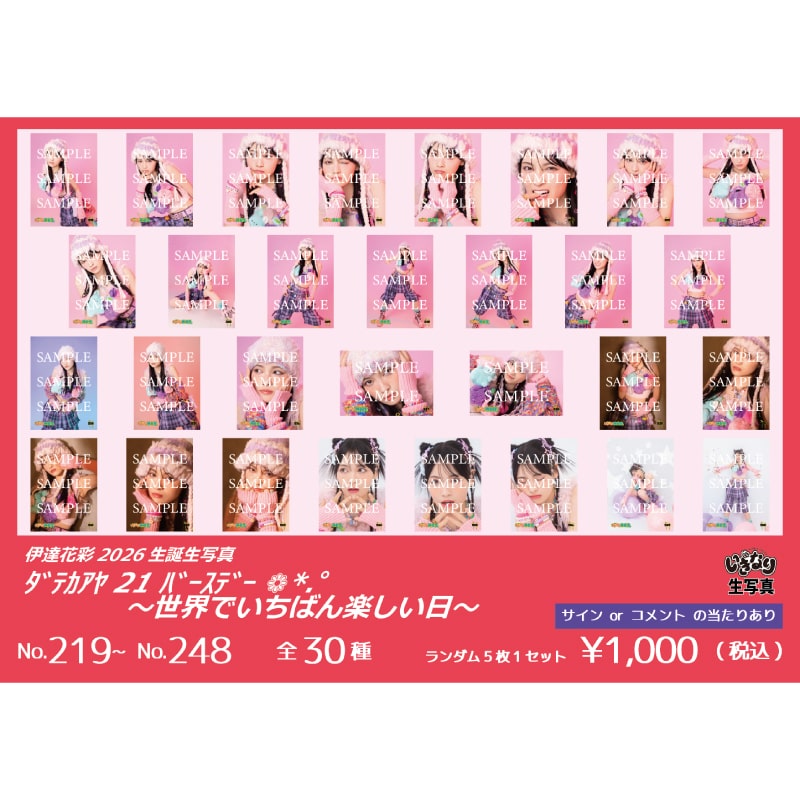 伊達花彩2026生誕生写真(No.219-No.248)