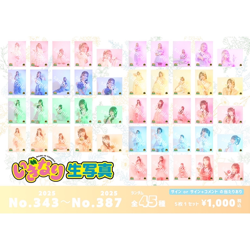 いぎなり生写真(2025 No.343-No.387)