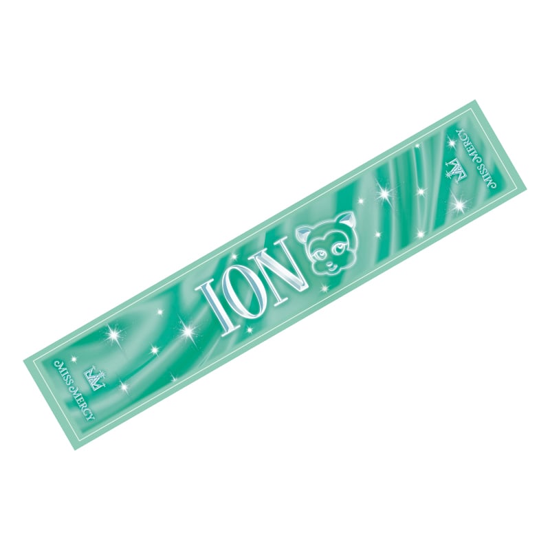 ION ver.