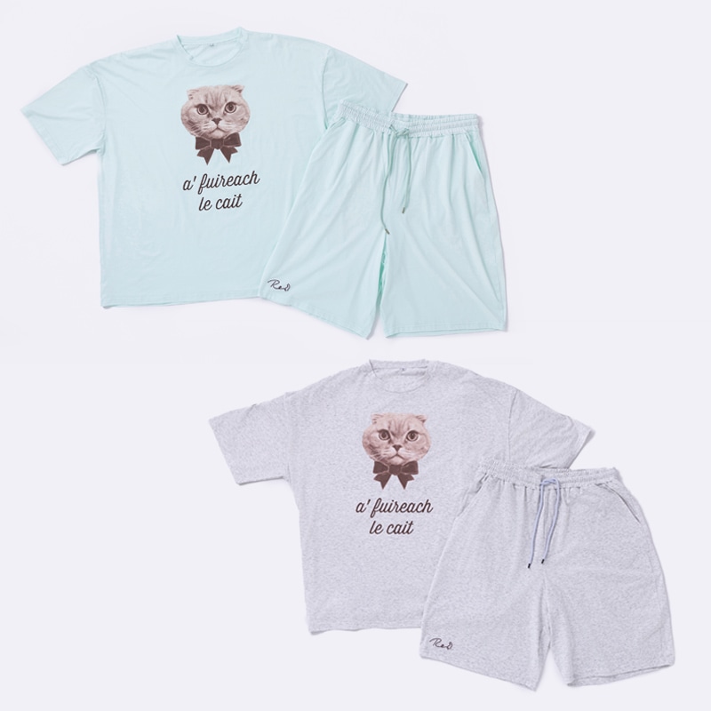 Scottish Fold Set up Room wear