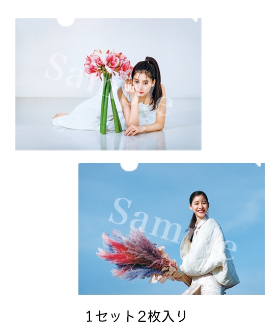 新木優子クリアファイル2021