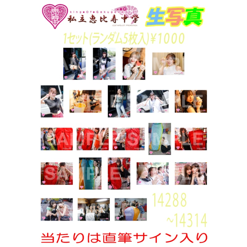 生写真 2024.11.25 でんぱえびツーマンライブ販売分