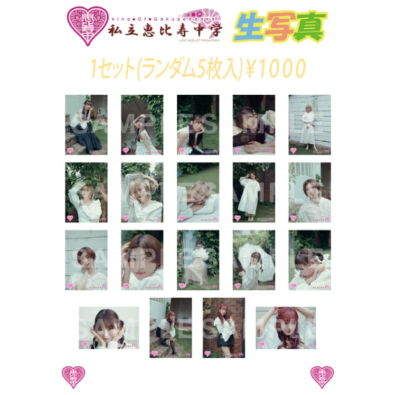 生写真 2025.6.28 ぽ～EVER販売分(No.14725~No.14764)