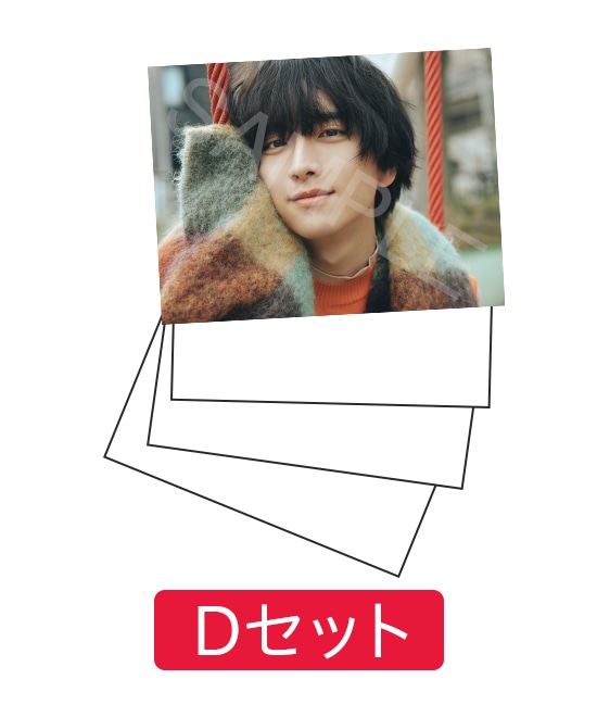 板垣李光人 PHOTO SET Vol.4 D
