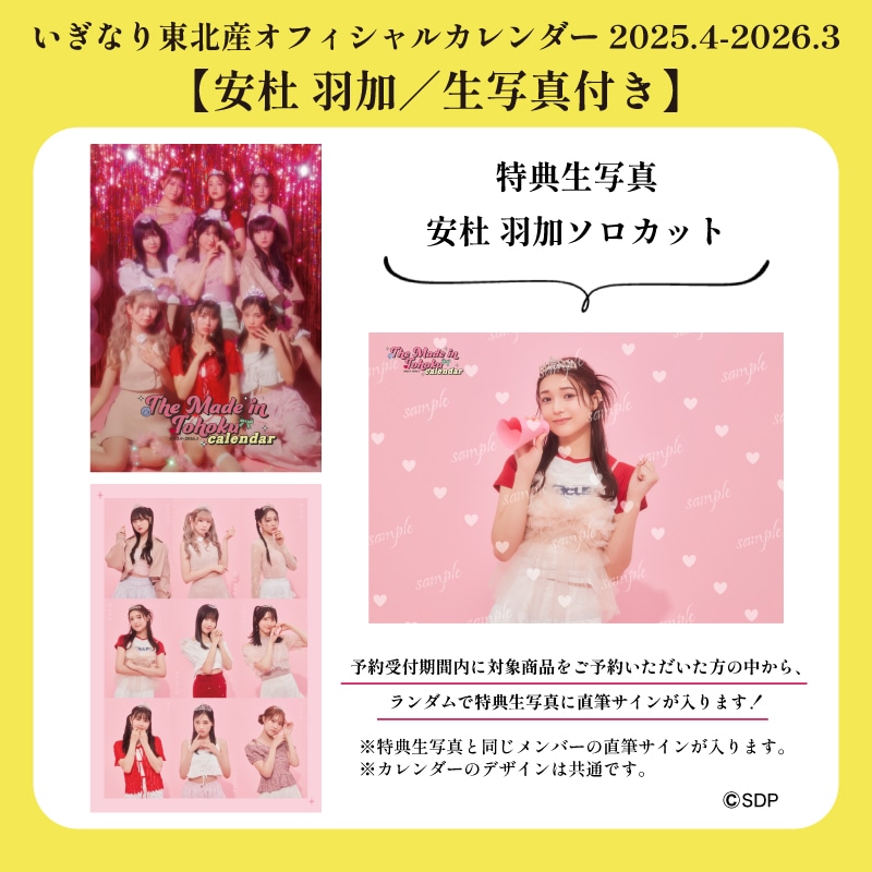 【安杜羽加/生写真付き】「いぎなり東北産オフィシャルカレンダー 2025.4-2026.3」