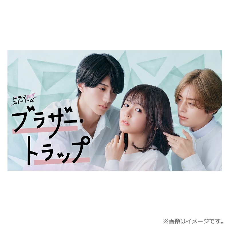 ドラマ「ブラザー・トラップ」DVD-BOX
