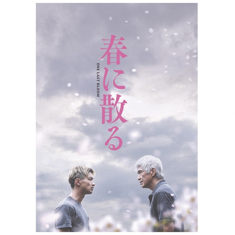映画「春に散る」 DVDコレクターズ・エディション