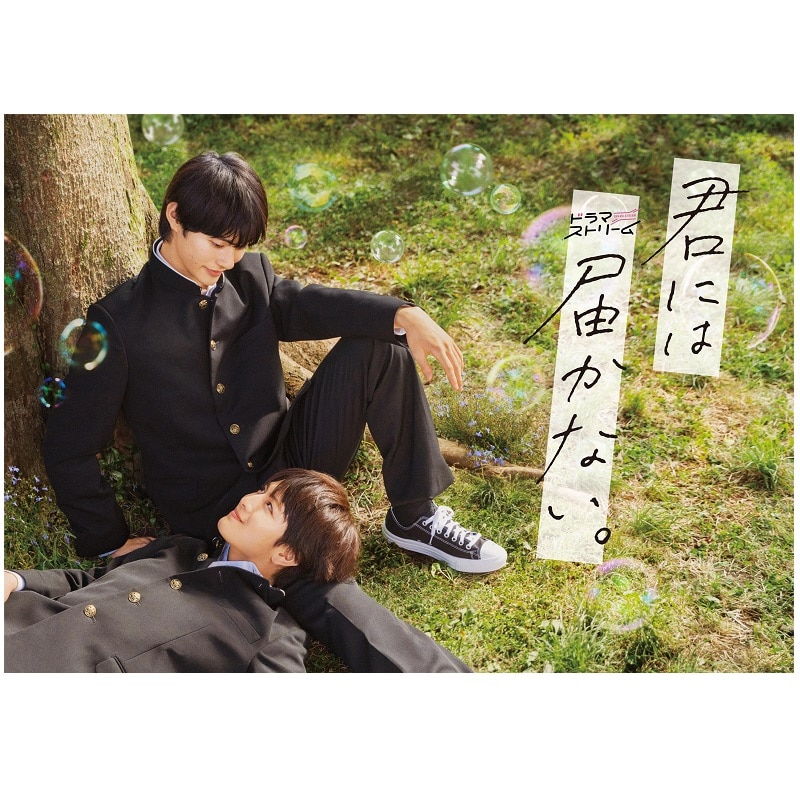 ドラマ「君には届かない。」 DVD-BOX
