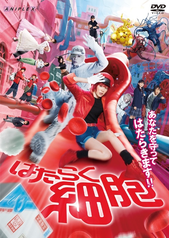 映画「はたらく細胞」【通常版】DVD