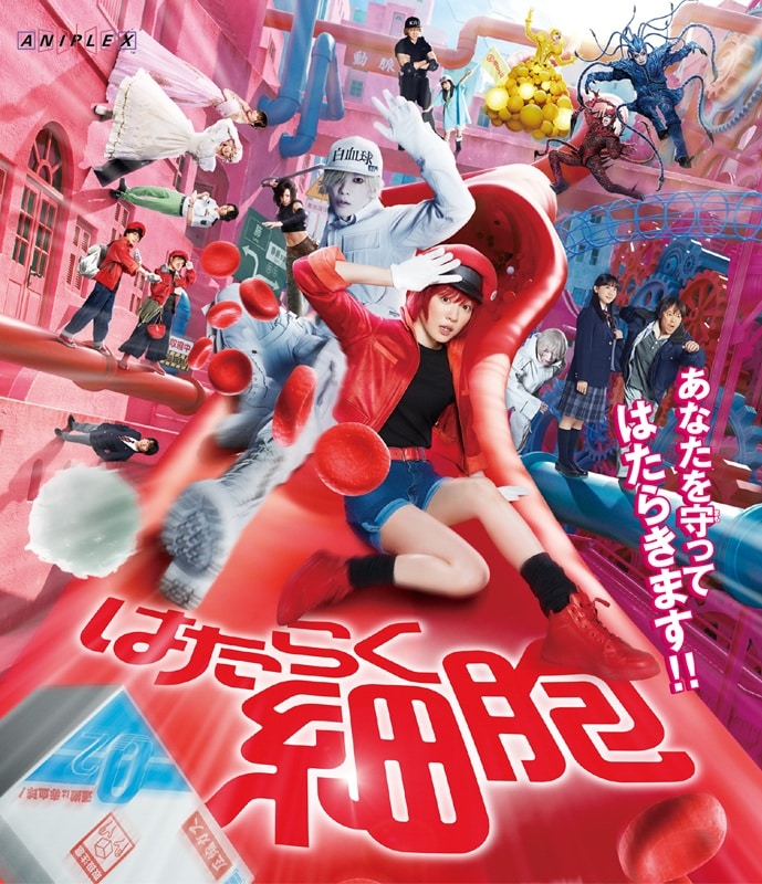 映画「はたらく細胞」【通常版】Blu-ray