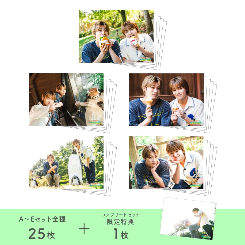 「アロハと空人の太陽探検隊」第2弾ブロマイド コンプリートセット