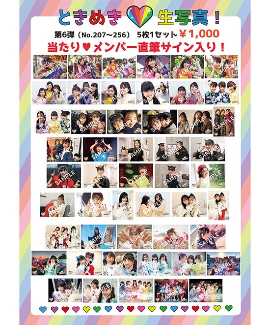 ときめき生写真第6弾(No.207~256)