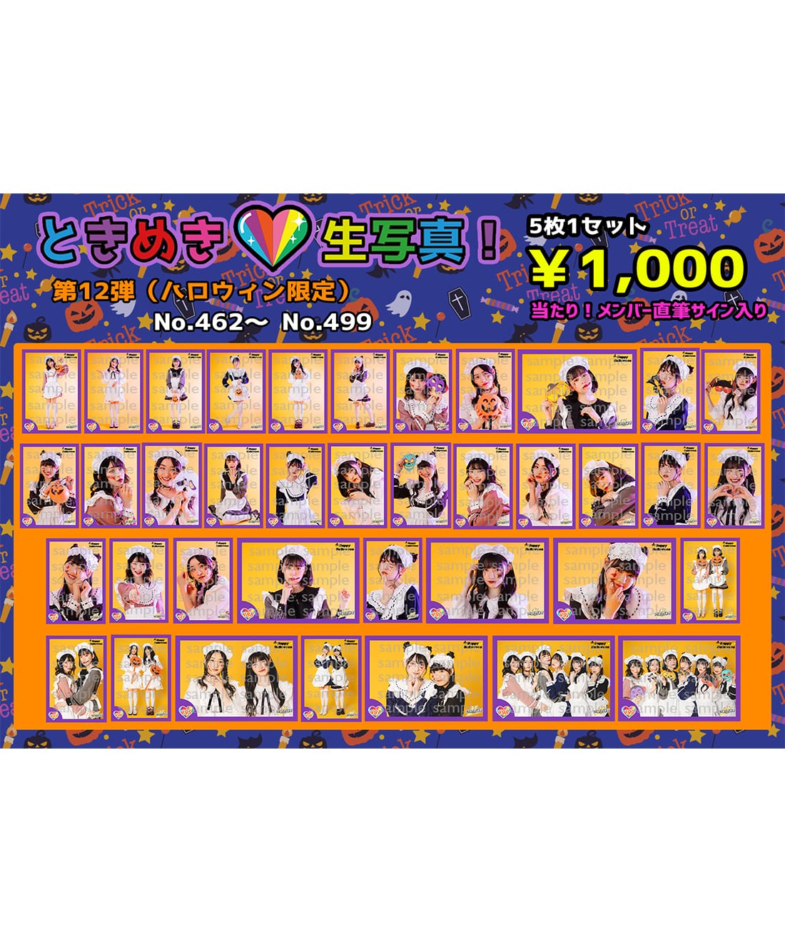 ときめき生写真第12弾(No.462~499)