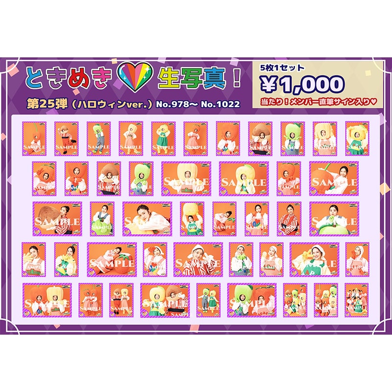 ときめき生写真第25弾(No.978~No.1022)