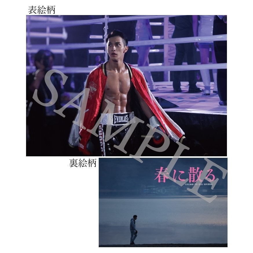 横浜流星「春に散る」クリアファイル