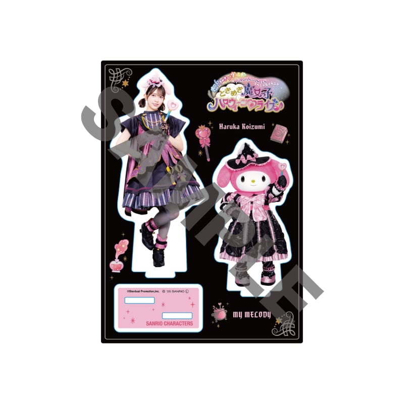 Haruka Koizumi × MY MELODY