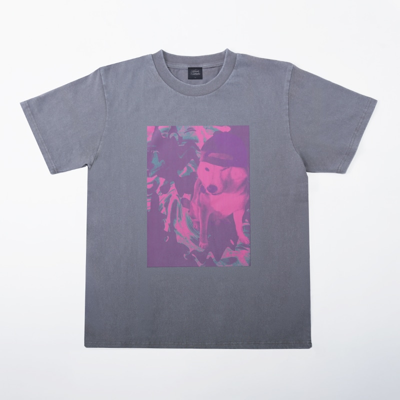 t-shirt（dog）