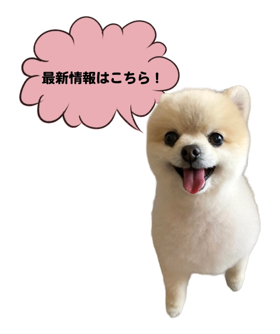 最新情報はこちら！